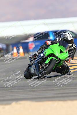 media/Jan-14-2024-SoCal Trackdays (Sun) [[2e55ec21a6]]/Turn 16 Set 2 (1125am)/